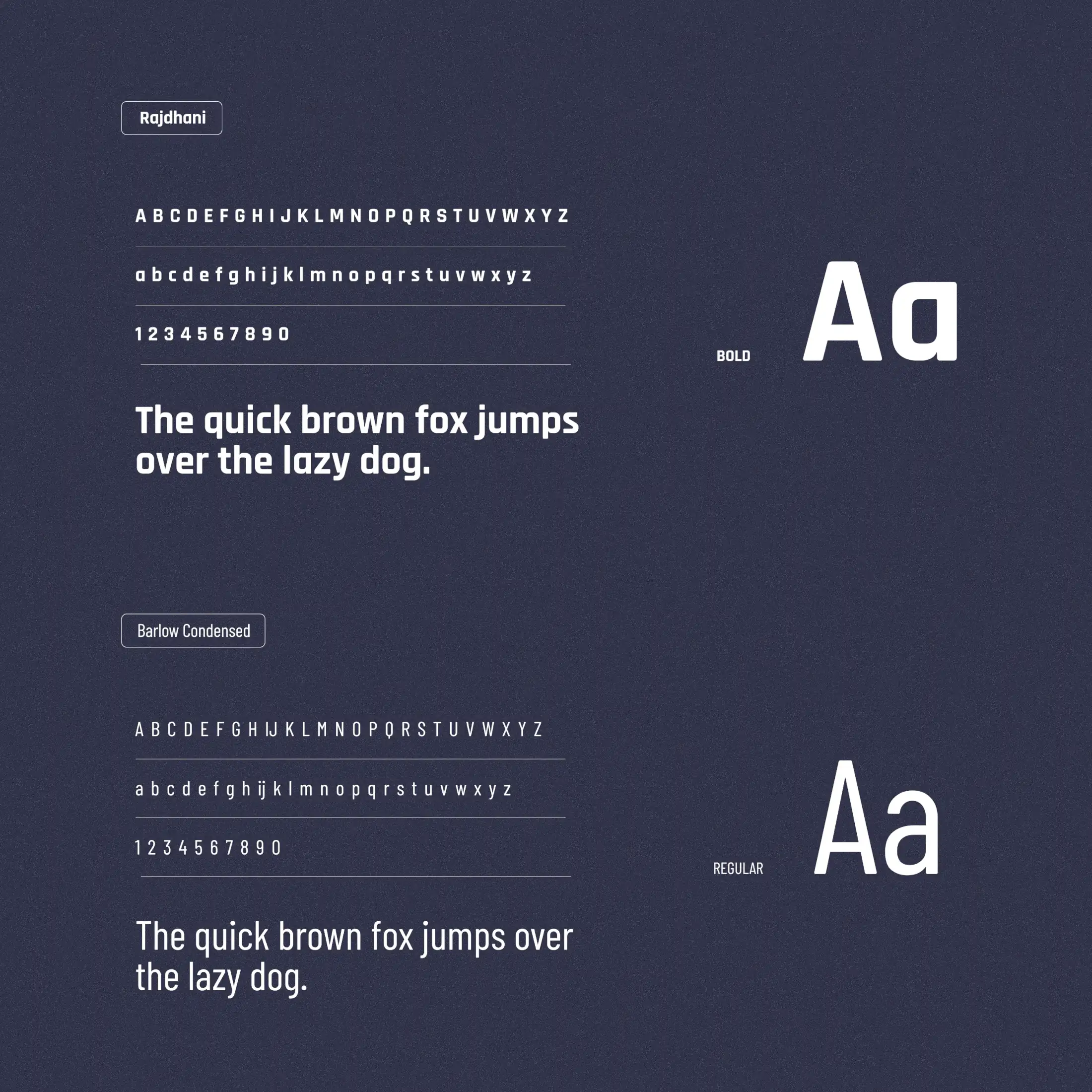 Typographies du projet Noxy